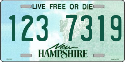 NH license plate 1237319