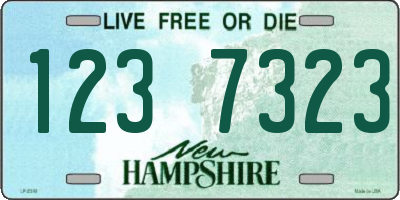 NH license plate 1237323