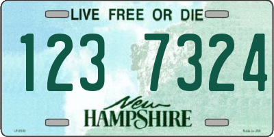 NH license plate 1237324