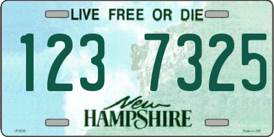NH license plate 1237325