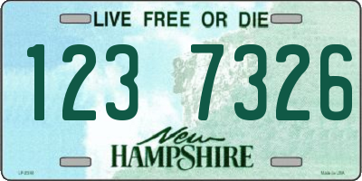 NH license plate 1237326
