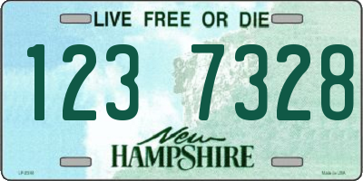 NH license plate 1237328