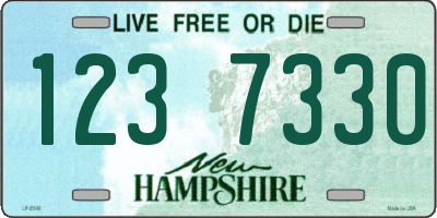 NH license plate 1237330