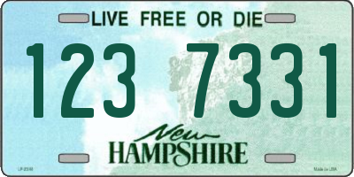 NH license plate 1237331