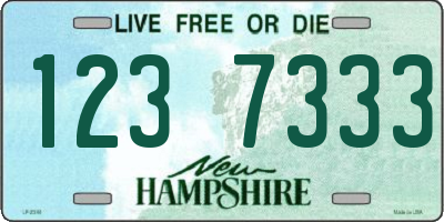 NH license plate 1237333