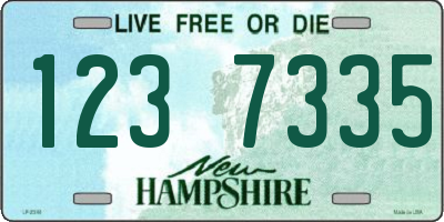 NH license plate 1237335