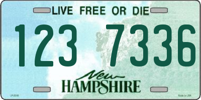 NH license plate 1237336