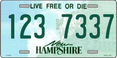 NH license plate 1237337