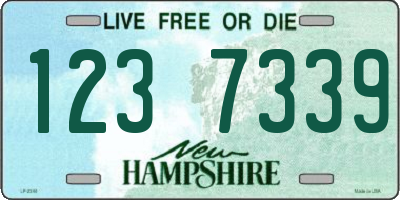 NH license plate 1237339