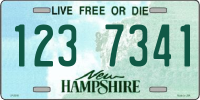 NH license plate 1237341