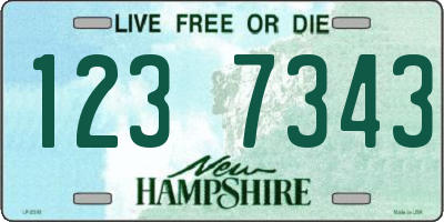 NH license plate 1237343