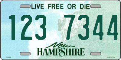 NH license plate 1237344