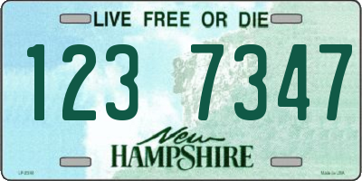 NH license plate 1237347