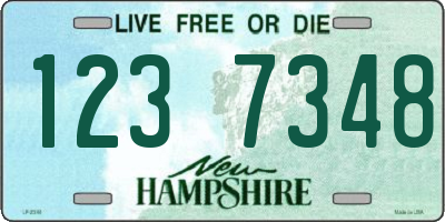 NH license plate 1237348