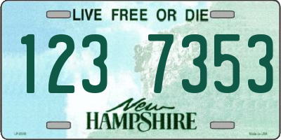 NH license plate 1237353