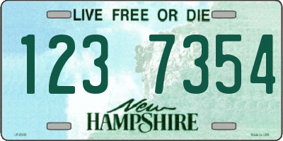 NH license plate 1237354