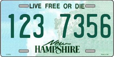 NH license plate 1237356