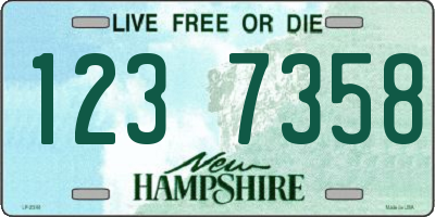 NH license plate 1237358