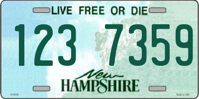 NH license plate 1237359