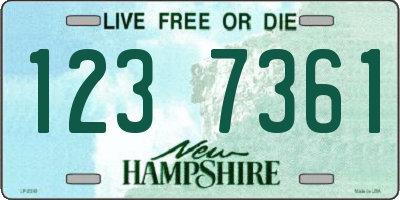 NH license plate 1237361