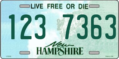 NH license plate 1237363