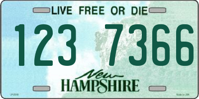 NH license plate 1237366