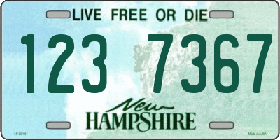 NH license plate 1237367
