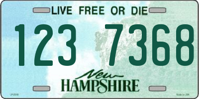 NH license plate 1237368