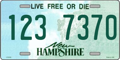 NH license plate 1237370