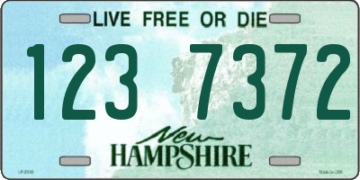 NH license plate 1237372