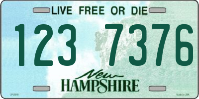NH license plate 1237376