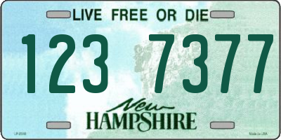 NH license plate 1237377