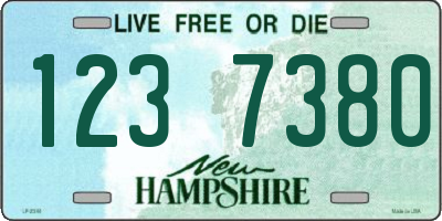 NH license plate 1237380