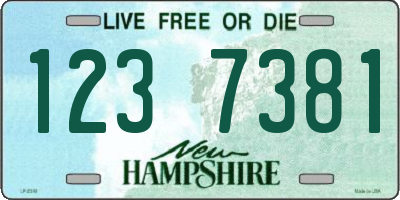 NH license plate 1237381