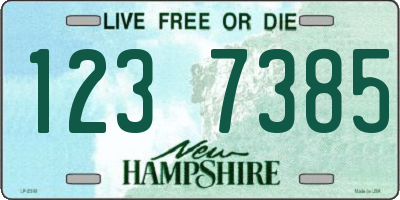 NH license plate 1237385