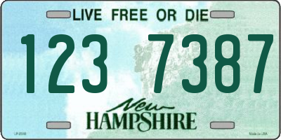 NH license plate 1237387