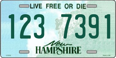 NH license plate 1237391
