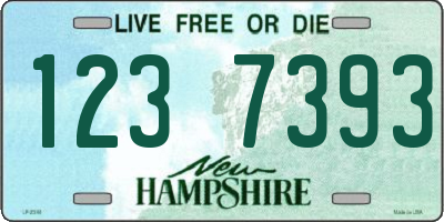 NH license plate 1237393