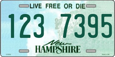 NH license plate 1237395
