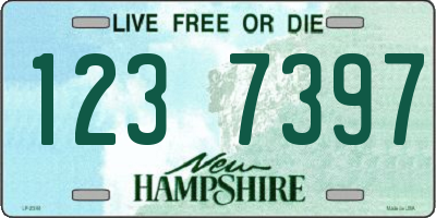 NH license plate 1237397