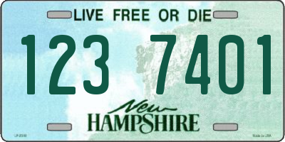 NH license plate 1237401