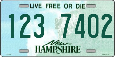 NH license plate 1237402