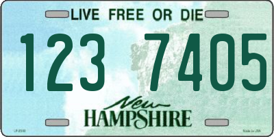 NH license plate 1237405