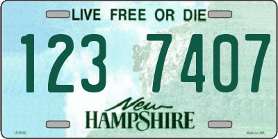 NH license plate 1237407