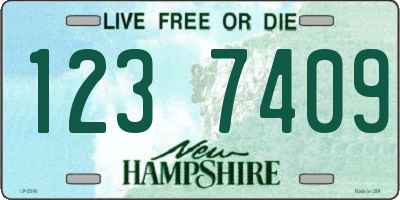 NH license plate 1237409