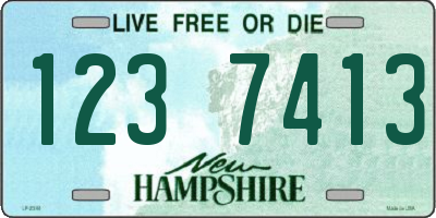NH license plate 1237413