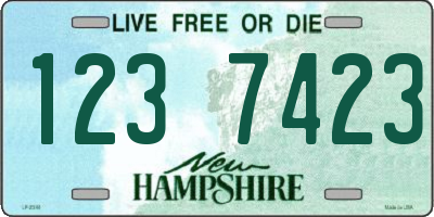 NH license plate 1237423