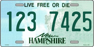 NH license plate 1237425