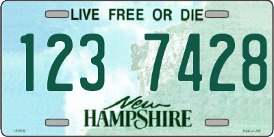 NH license plate 1237428