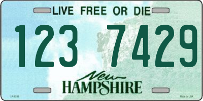 NH license plate 1237429